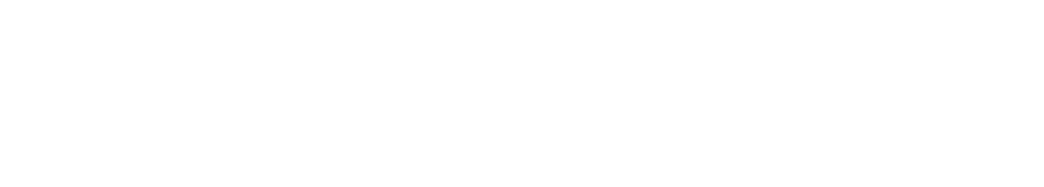 Volt Software